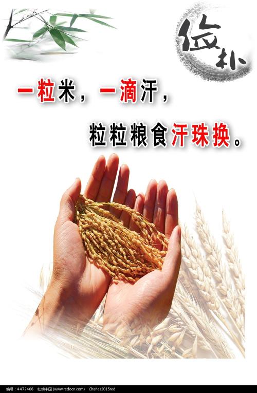 公司不动产权证